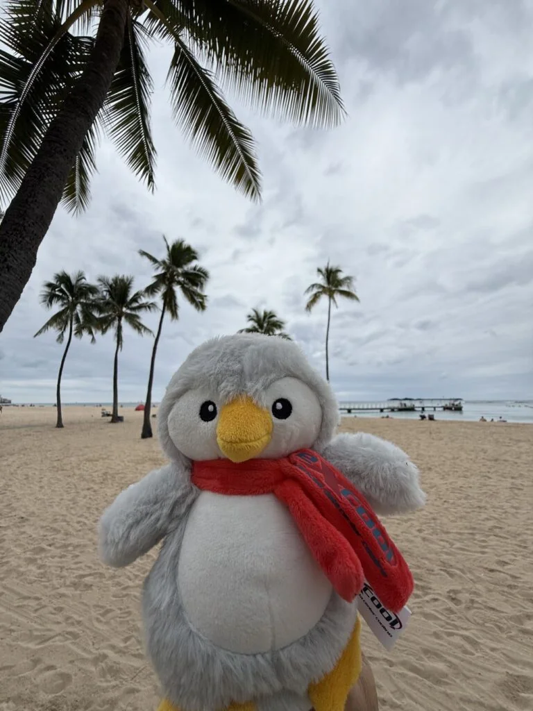 Excool in Hawaii for PTC’26